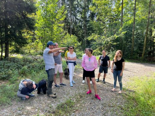 927ebf14-a69f-4546-a0a4-47be785a8aa1